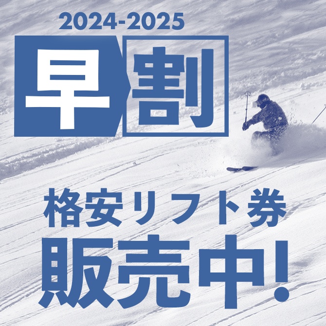 POWDER5 ぐんま「共通リフト時間券」2024-2025 20時間券×2枚 チケット料金