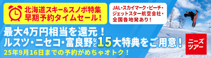 シマウマ　たざわ湖スキー場　リフト1日券　半額割引券6枚セット シマウマ たざわ湖スキー場 リフト1日券 半額割引券6枚セット