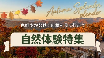 色鮮やかな秋！紅葉を見に行こう！